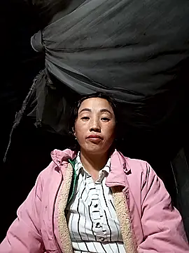 seacyre's cam snapshot