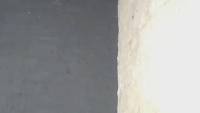 ebony_rose11's cam snapshot