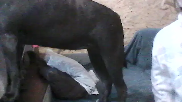 Milana38's cam snapshot