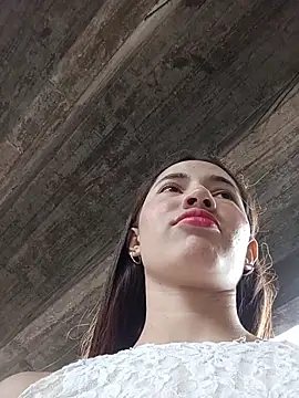 -Nicol's cam snapshot