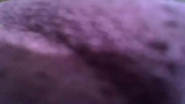 boldiva89's cam snapshot