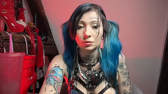 coyemoo's cam snapshot