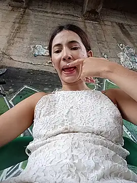 -Nicol's cam snapshot