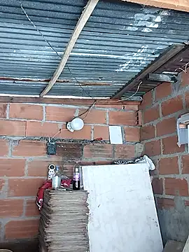 hoteder live sex cam