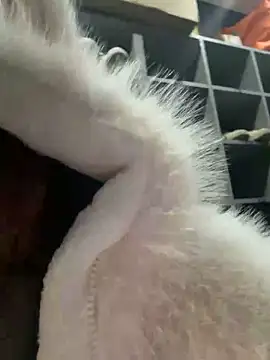 redrose520's cam snapshot