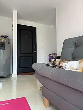 Bella_Smiith_'s cam snapshot