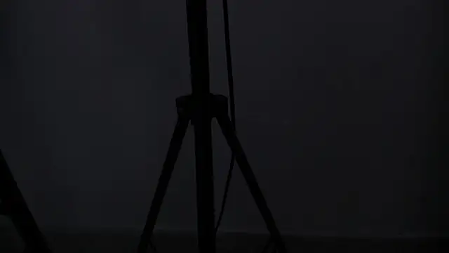 Swt_skinny_'s cam snapshot