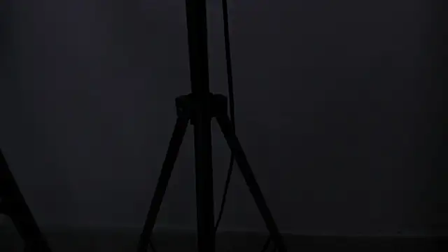 Swt_skinny_'s cam snapshot