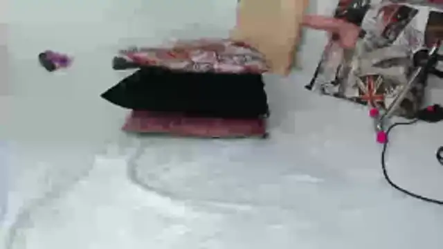 DaiishaWolf live sex cam