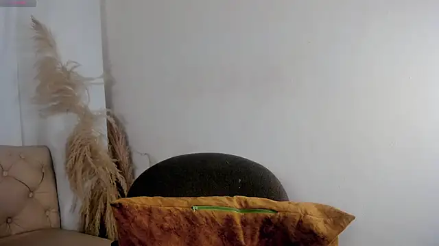 Nicolletease's cam snapshot