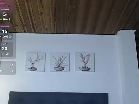 liafaith's cam snapshot