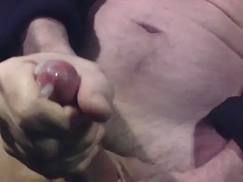 AllllYoursGirls live sex cam