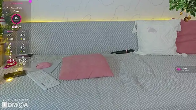 toriline's cam snapshot