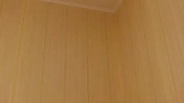 -Crystal-'s cam snapshot