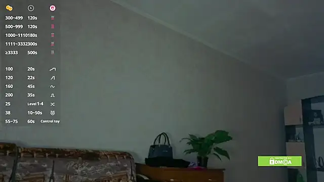 linavox's cam snapshot