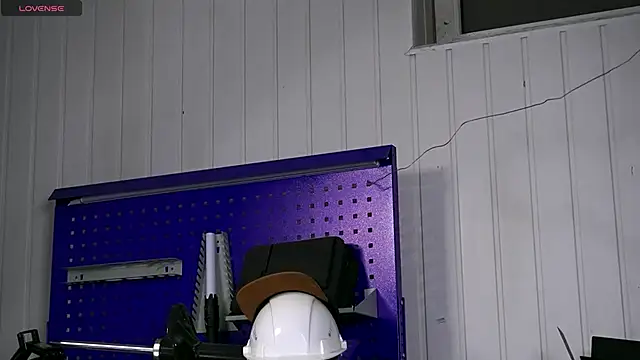 dustyn_fox live sex cam