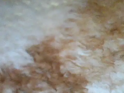 Sneha_nehu's cam snapshot