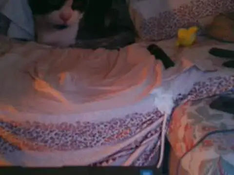 VeneRed's cam snapshot