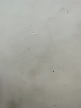 Sania-Love's cam snapshot