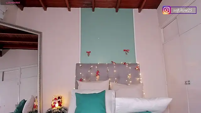 sofi_laane's cam snapshot