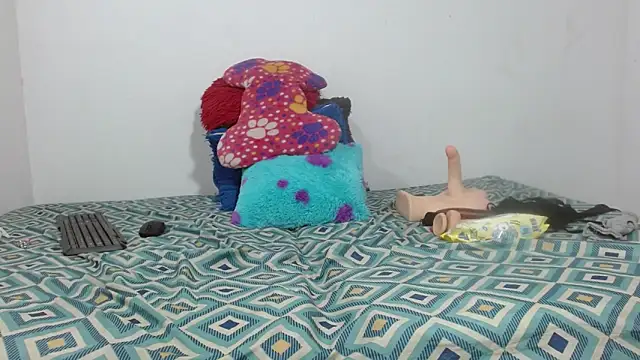 Titouminerve's cam snapshot