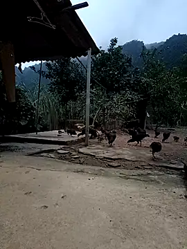 SexyQueen99's cam snapshot