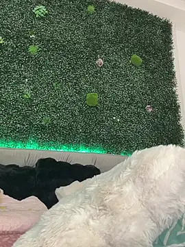 sexyanais's cam snapshot