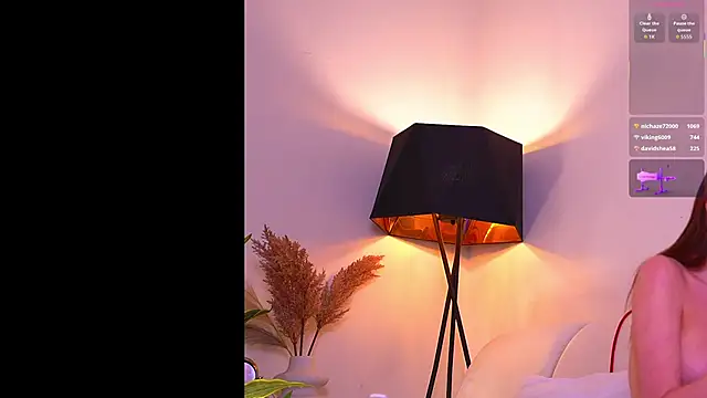 VallieBrandwein's cam snapshot