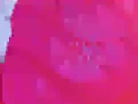 Samanrtha17's cam snapshot