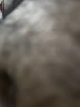 vichuhot's cam snapshot