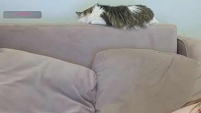 gertanord live sex cam