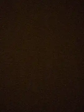 powermast live sex cam