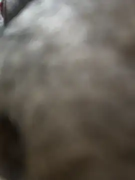 vichuhot's cam snapshot