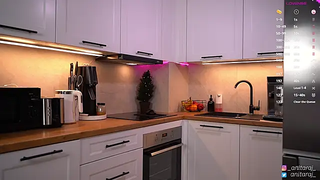 anitaraj_'s cam snapshot