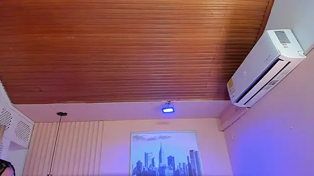 viiolett_lee's cam snapshot