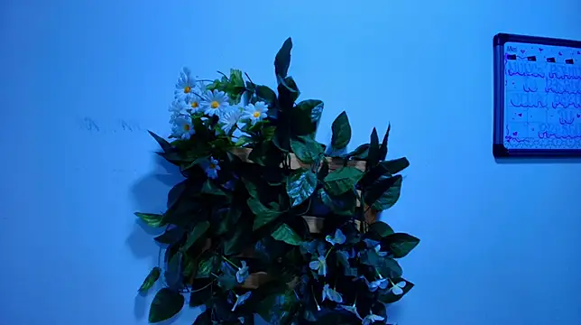 hannah_teehn's cam snapshot