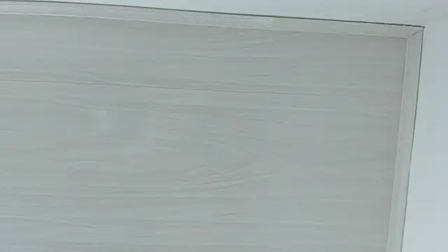 CamilGray's cam snapshot