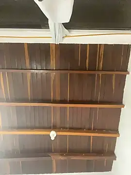 SeleneJamess's cam snapshot