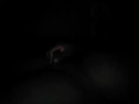 spopo619's cam snapshot