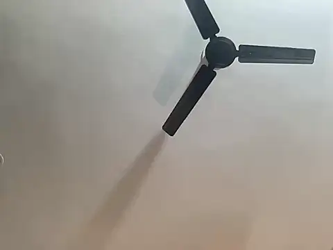 piyassi__divya's cam snapshot