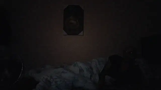 hailzeffn's cam snapshot