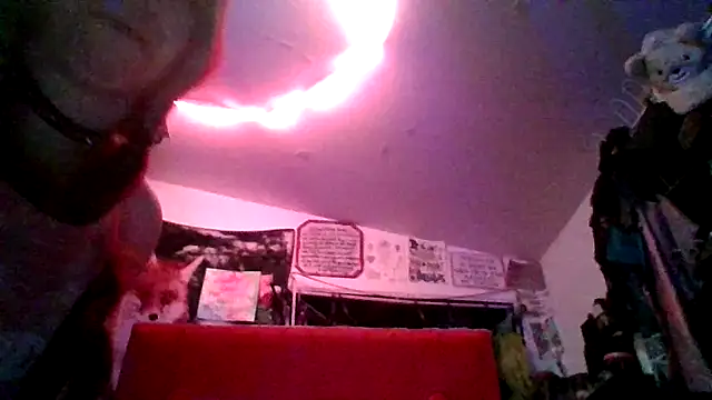 spunfoxxx's cam snapshot