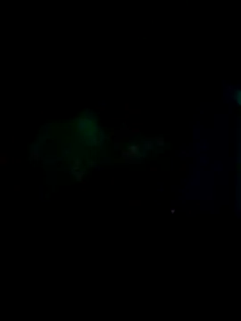 Lily-o's cam snapshot