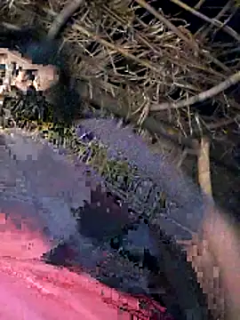 Janvi_Jaitly's cam snapshot