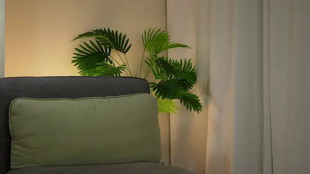 akumadadrive's cam snapshot