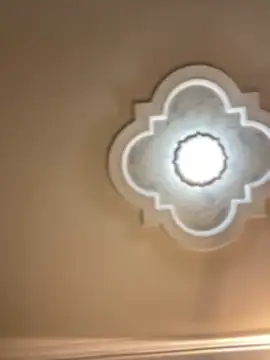 VIOLET_EF's cam snapshot