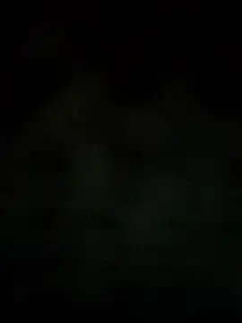 Bella_missandei live sex cam