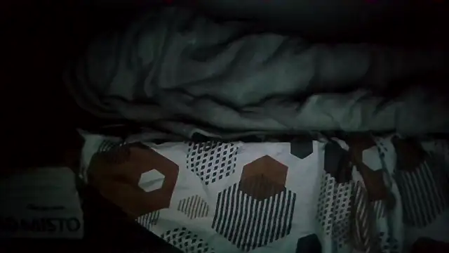 JUNINHOLEKEJR's cam snapshot