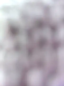 Hot-Sana2's cam snapshot