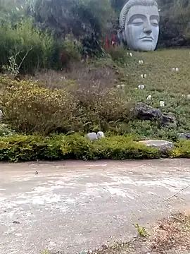 siusiu-00's cam snapshot